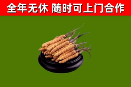 凌云县烟酒回收冬虫夏草.jpg